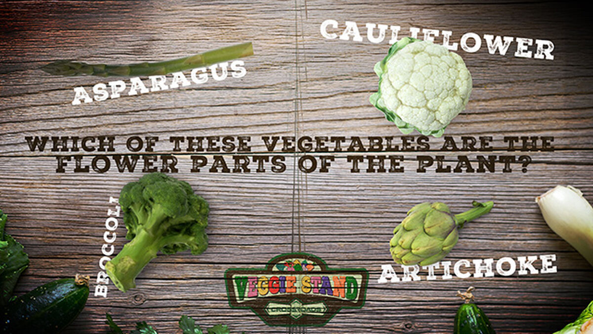 Veggie Stand: Crossroads image number null